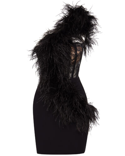 Fae One-Shoulder Mini Dress with Feather Trim